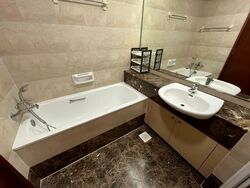 The Clearwater (D16), Condominium #557130621